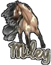 miley wild horse