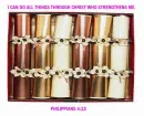scrolls..Bible verse