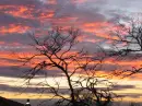 Sunset2