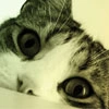 i can see you