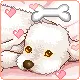white puppy
