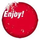 Enjoy! Vol.2