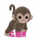 GINA