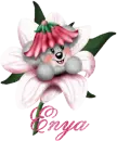 Name
