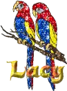 Name