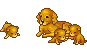 pupps
