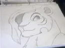 Lioness