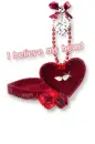 i belive my heart