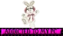 Addicted Bunny