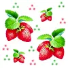 strawberries
