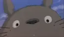 totoro smiles