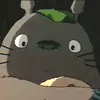 blinking totoro