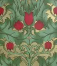 Tulip_BG
