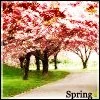 Springtime