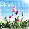 Springtime