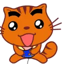 cat
