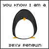 sexy penguin