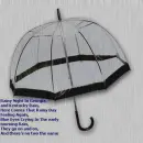 Umbrella in Rain