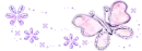purple butterfly