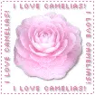 I love Gamelias avatar