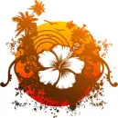 Sun - flower