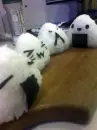 Yummy and cute food