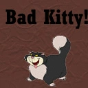 kitty