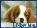 I Miss You