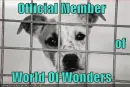 World Of Wonders
