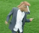 The Horse WTF