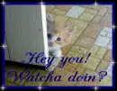 Hey you...watcha doin?