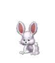 bunny