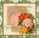 Spring has finally Sprung