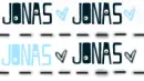 jonas brothers