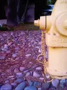 Rocky hydrant