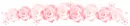 faded pink roses