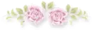 rose divider