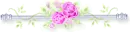 rose divider