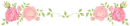 rose divider