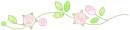 rose divider