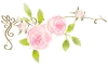 rose divider