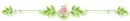 rose divider