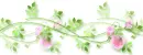 rose divider