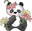 Panda With Flowers