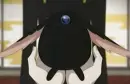 Mokona