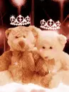 BEAR COUPLE