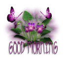 good morning butterfly