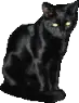 Black Cat