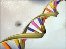 Genes