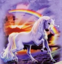Unicorn Raynebow
